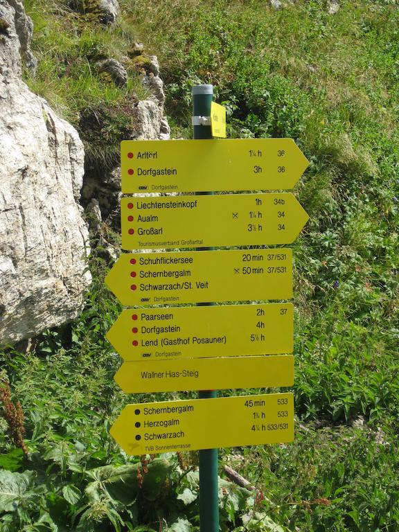 Bergparadies - Inklusive Eintritt In Die Alpentherme Dorfgastein Exterior foto